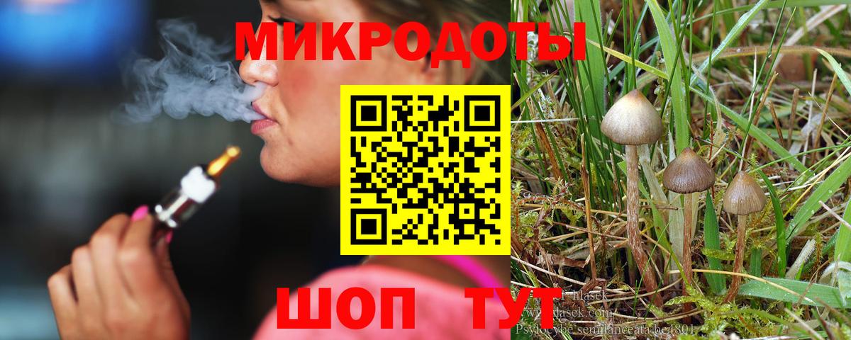 Маркс  Псилоцибиновые грибы прущие грибы  Вход с VPN 