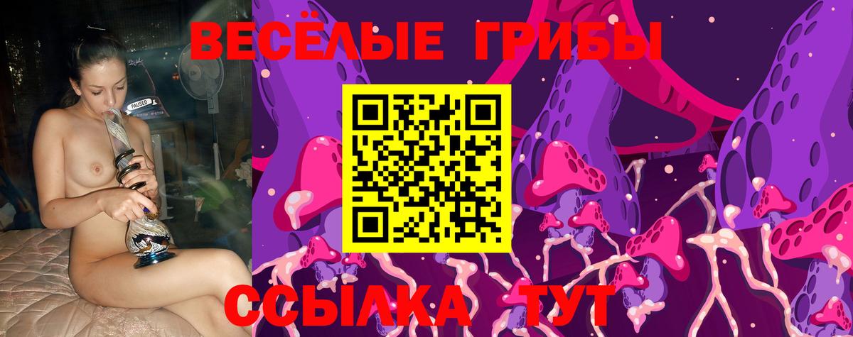 Псилоцибиновые грибы Psilocybine cubensis Маркс
